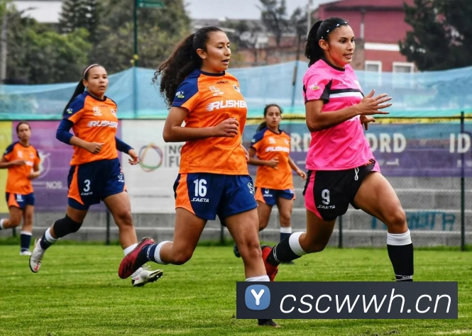 开云kaiyun网站平台生态图