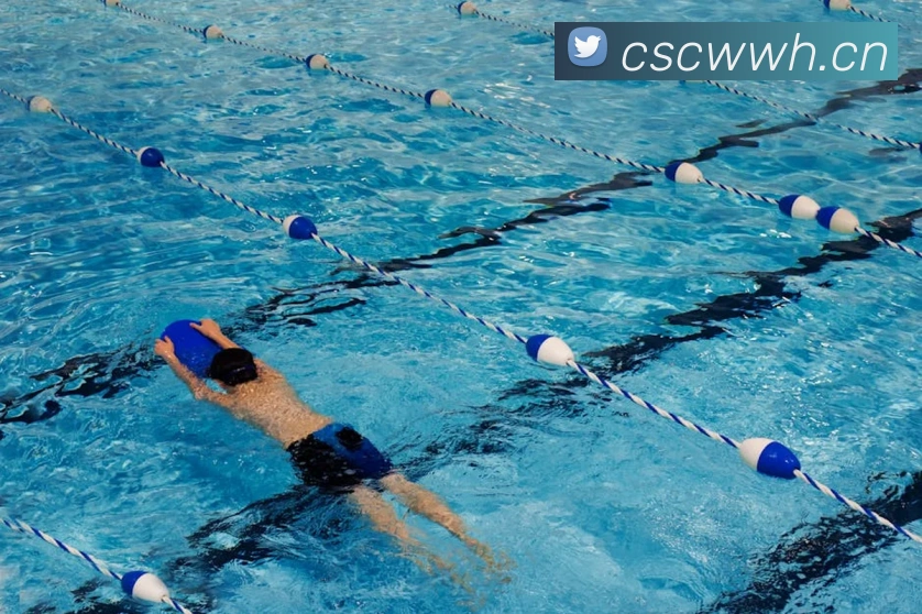 开云kaiyun网站APP 封面图